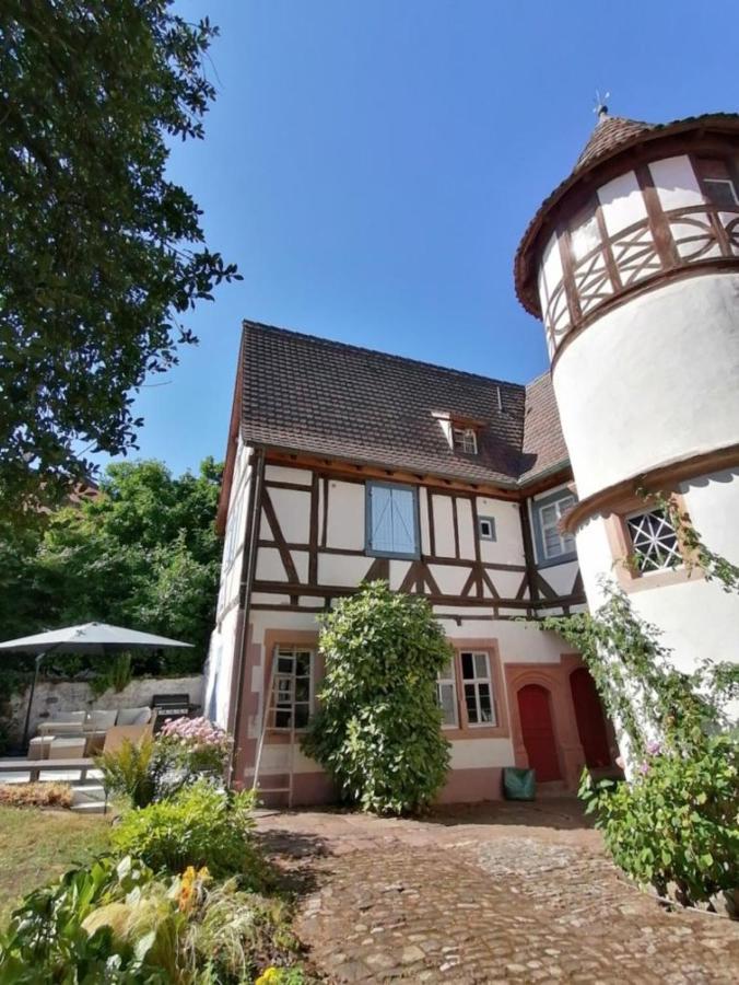 Maison Kobold Xvie Siecle ウィッサンブール エクステリア 写真