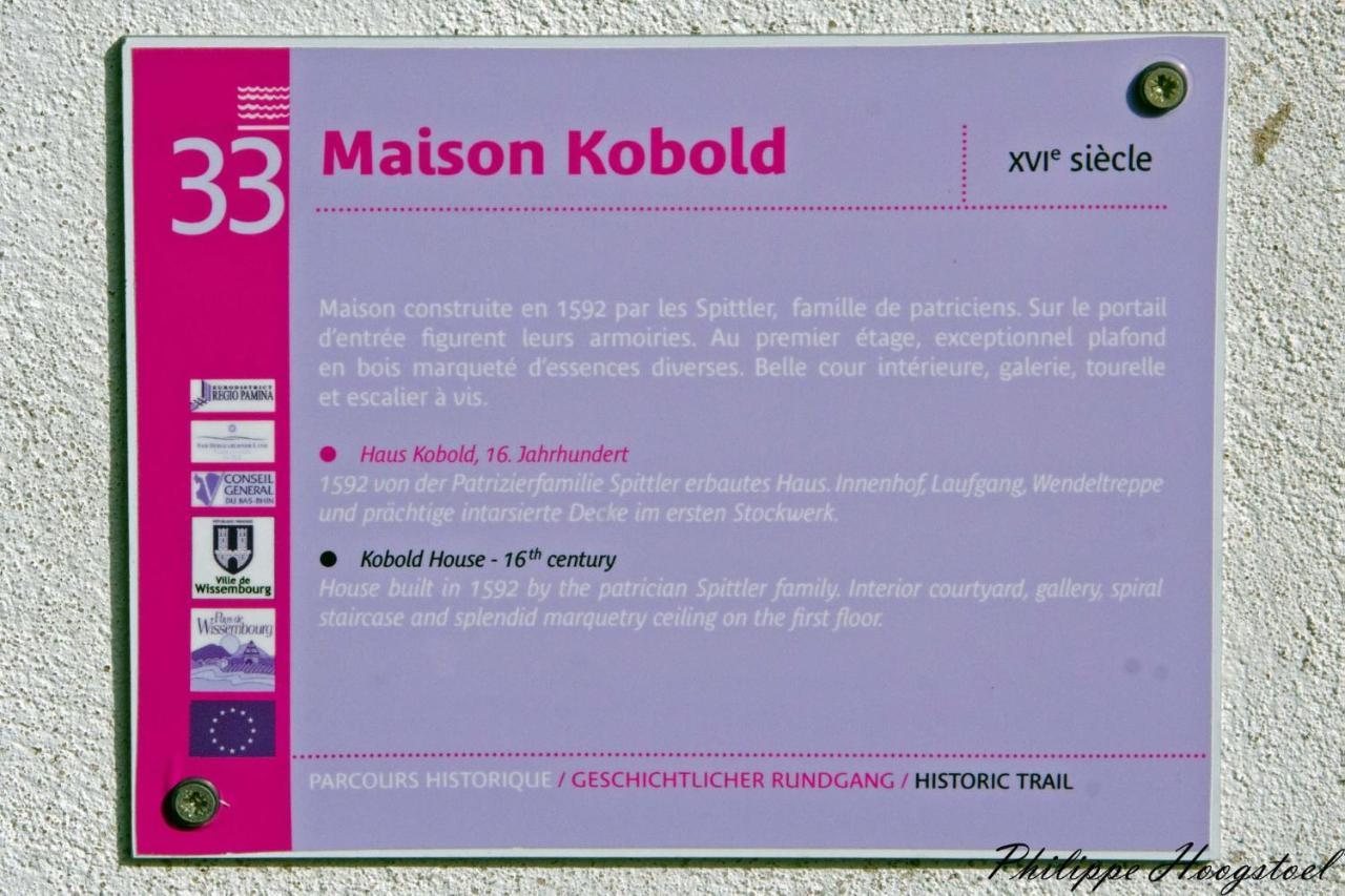 Maison Kobold Xvie Siecle ウィッサンブール エクステリア 写真