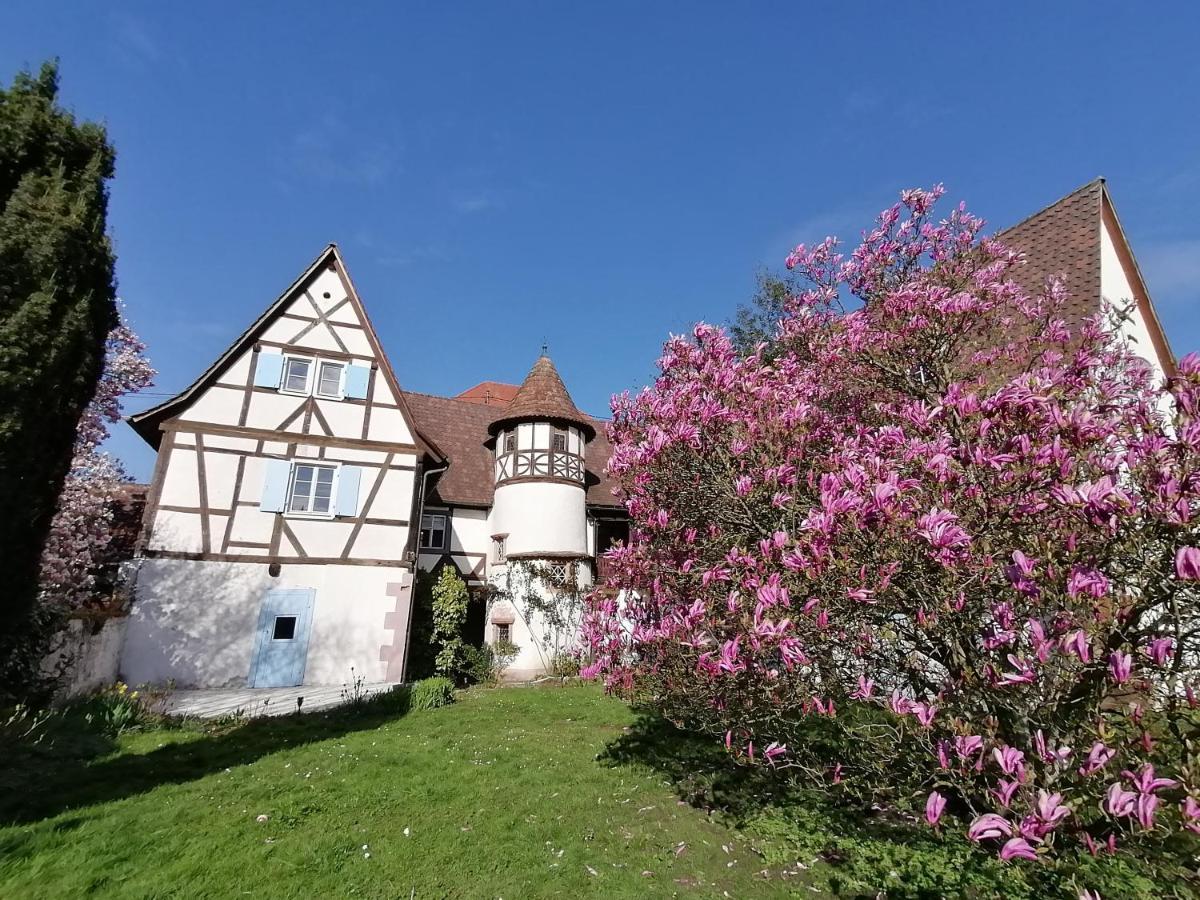 Maison Kobold Xvie Siecle ウィッサンブール エクステリア 写真